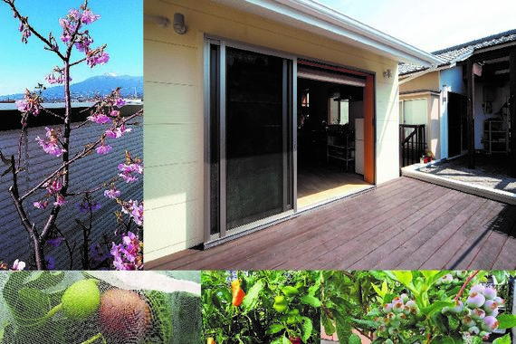 屋上庭園、家庭菜園